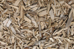 biomass boilers Scrwgan